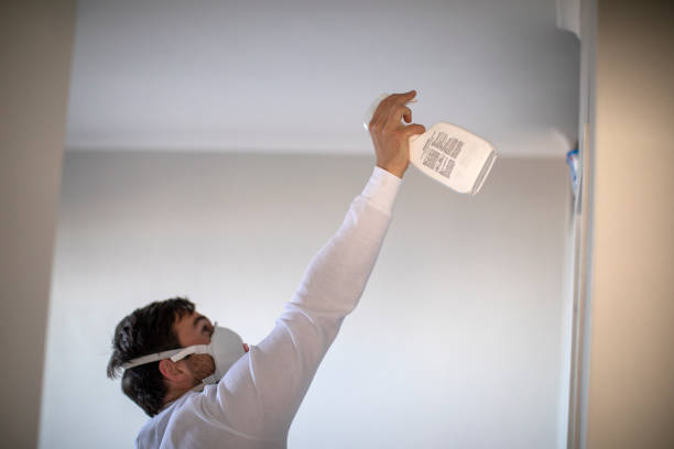 Best Mold Testing and Inspection Services in Park Rapids, MN